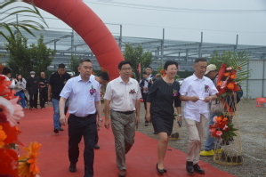 訪企拓崗在行動 隋江華院長出席藍石海洋工程新工廠奠基儀式，共促海洋智能裝備研發合作